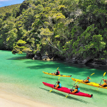 Guided Sea Kayak