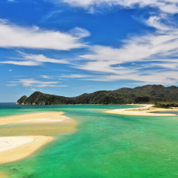 Awaroa Headland
