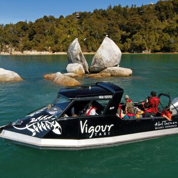 Vigour Water Taxi